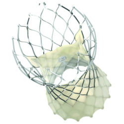 Sistema Evolut ProCoreValve Evolut R, Evolut PRO, Evolut PRO+ – Sistema Enveo  EVPROPLUS-23, EVPROPLUS-26, EVPROPLUS-29, EVPROPLUS-34, L-EVPROP23-29 L-EVPROP34, D-EVPROP23-29, D-EVPR